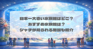 日本一大きい水族館はどこ？おすすめ水族館は？シャチが見られる施設も紹介