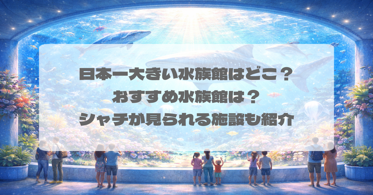 日本一大きい水族館はどこ?おすすめ水族館は?シャチが見られる施設も紹介